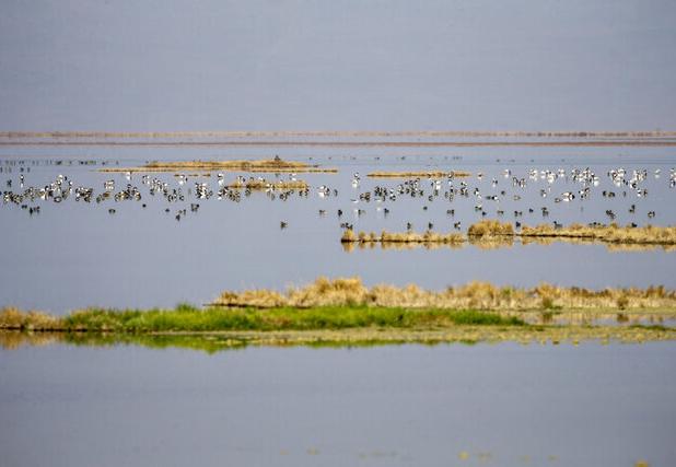 تامین حق‌آبه برای تالاب یا گرد و غبار برای شهر؟