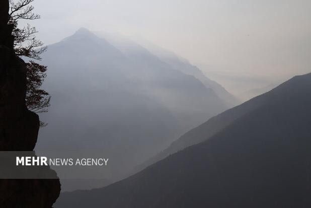 فخاری: فرد مصدوم و گمشده در جنگل دودانگه نجات یافت