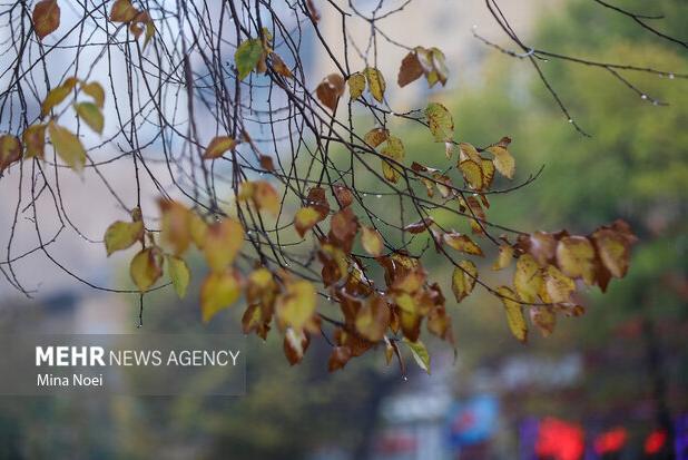 یش‌بینی بارش‌های خفیف و کاهش محسوس دما در استان همدان