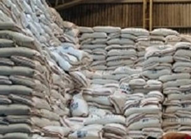 سقف قیمت برای برنج وارداتی غیرکارشناسی است/ انبار برنج نو توسط یک شرکت دولتی