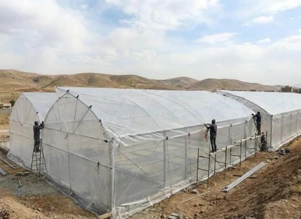 راهنمای ساخت گلخانه در کرج