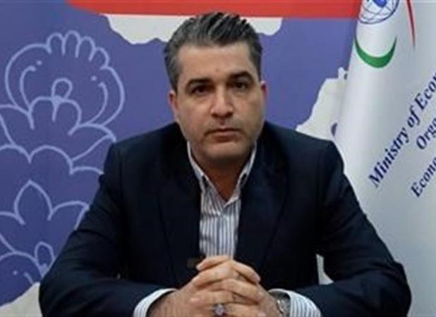 برگزاری کارگاه تخصصی صندوق اوپک در ایران برای تقویت صادرات