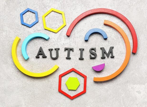 مدیر مرکز اوتیسم بم: نبود حمایت‌های لازم، مانع ارائه بهتر خدمات به کودکان اوتیسم است