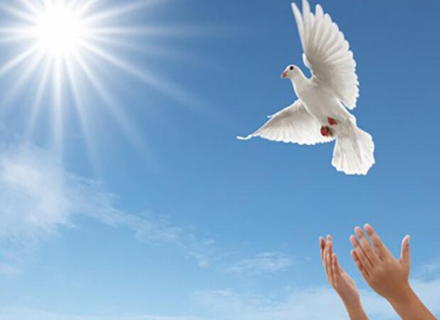 آزادی ۳۰ محکوم مالی در گلستان