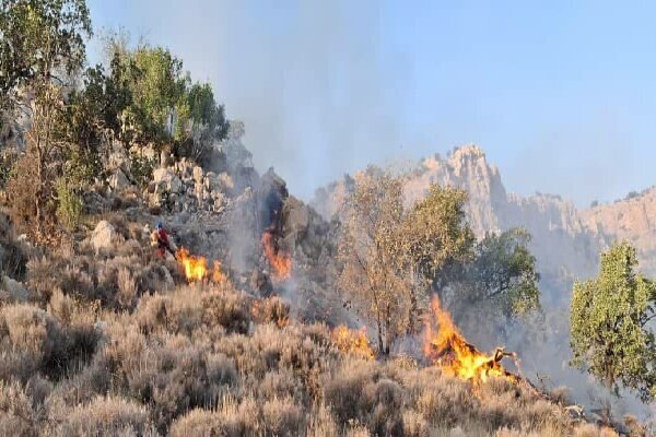 آغاز سومین روز اطفای حریق جنگل الیت با بالگرد