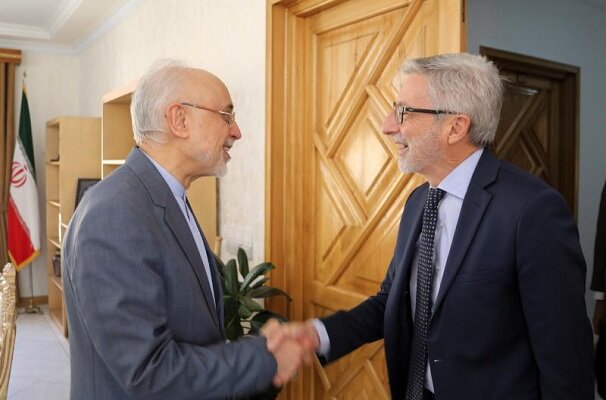سفیر فرانسه با رئیس بنیاد ایران‌شناسی دیدار کرد