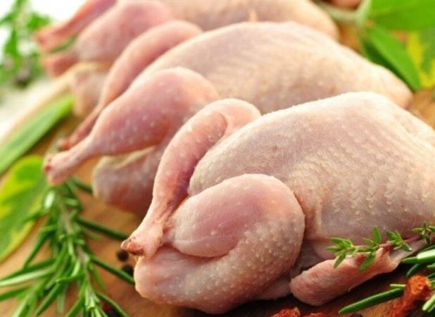 مزیت‌های "مرغ سایز" برای مصرف‌کنندگان/ مرغ چاق مصرف نکنیم!