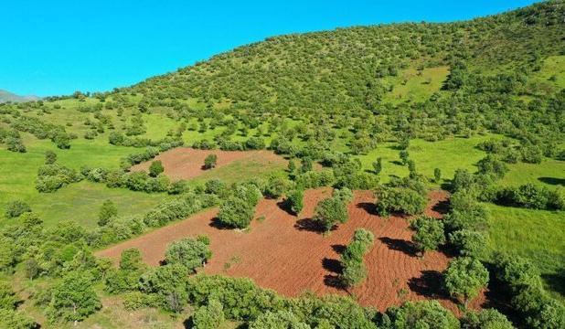 رییس اداره حفاظت محیط زیست شهرستان اعلام کرد: رفع تصرف ۲.۵ هکتار از اراضی منطقه حفاظت شده «باهوکلات» در راسک