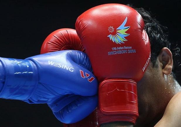 بوکسور قمی قهرمان مسابقات قهرمانی جوانان کشور شد