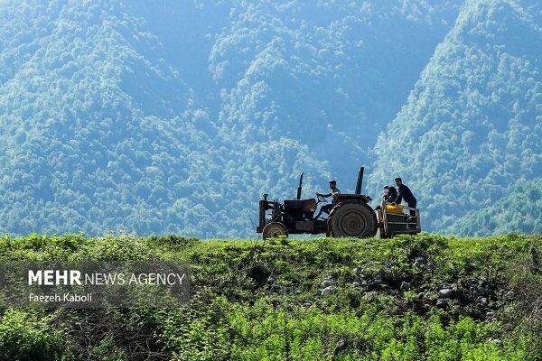 پرداخت۴۰میلیارد ریال خسارت حیات وحش به دامداران وکشاورزان خراسان جنوبی