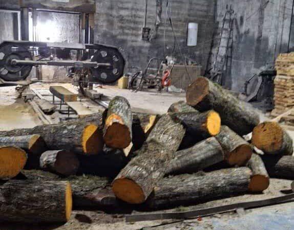  کشف و ضبط ۱۵ تن چوب آلات جنگلی قاچاق در آمل