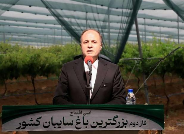 نوری: ایران در ۳۰ محصول باغی رتبه‌های یک تا دهم دنیا را دارد