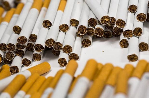 قلی زاده: بیش از ۱۴۸ هزار نخ سیگار فاقد مجوز در تکاب کشف شد