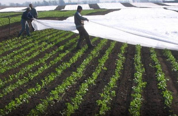 هشدار تخریب محصولات کشاورزی به ۱۶ استان؛ آغاز افزایش دما از فردا