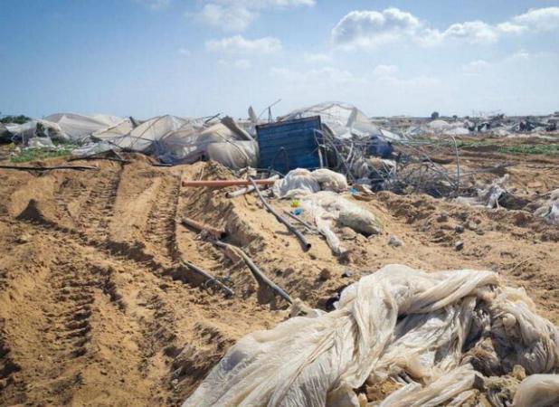 «زمین سوخته در غزه»؛ بزرگترین جنایت زیست‌محیطی جهان چگونه رقم خورد؟