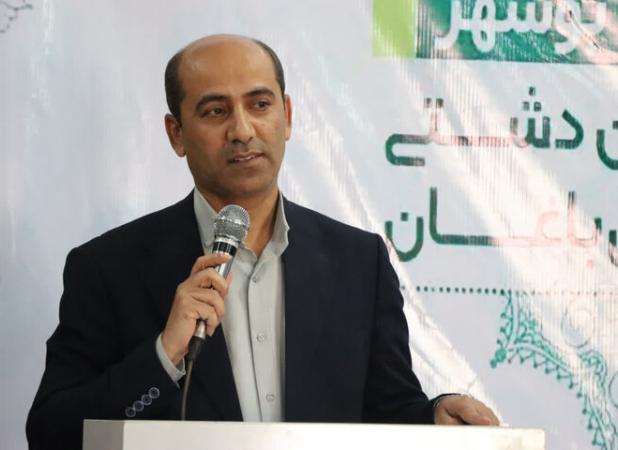 مقاتلی: دنبال تبدیل دشتی به قطب انرژی خورشیدی جنوب کشور هستیم