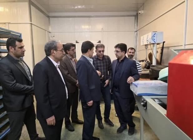 مدیرکل دیوان محاسبات لرستان از مزارع پرورش ماهی سلسله بازدید کرد