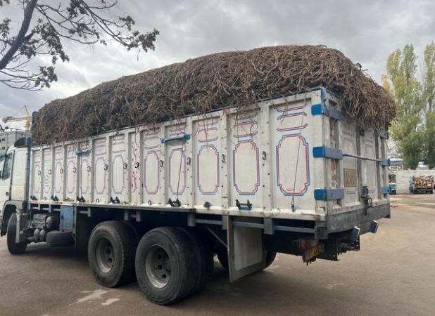 توقیف کامیون حامل ریشه شیرین بیان در اردبیل