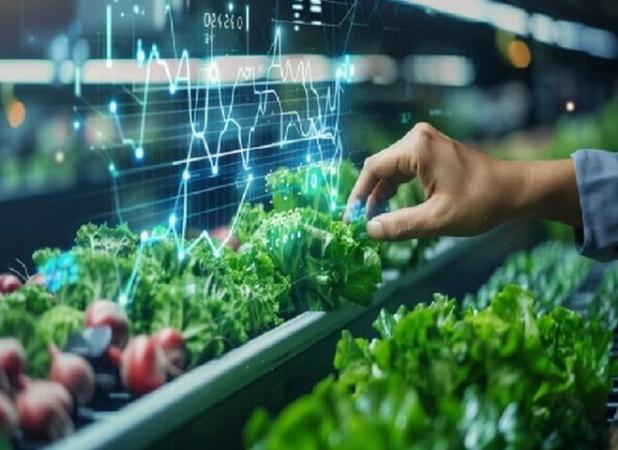 کلید ایفای نقش در سند ملّی امنیت غذایی