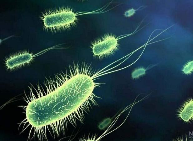 هشدار جهانی درباره شیوع وبا؛ جان هزاران نفر در خطر است
