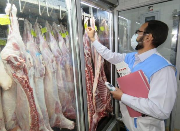 لاشه دام‌های ذبح شده، توسط دامپزشکان بررسی می‌شود