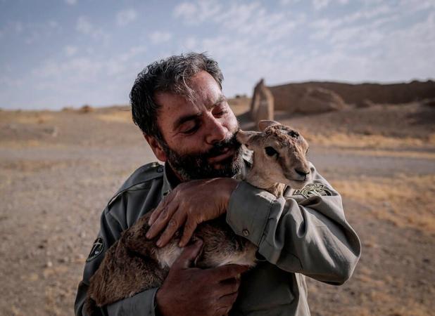 بکارگیری سلاح توسط محیط‌بان منتظر تصویب یک لایحه در صحن مجلس