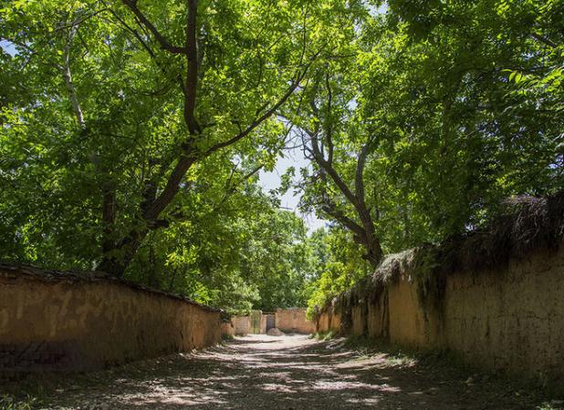 افزایش ۲۰ درصدی محصولات باغی در فارسان