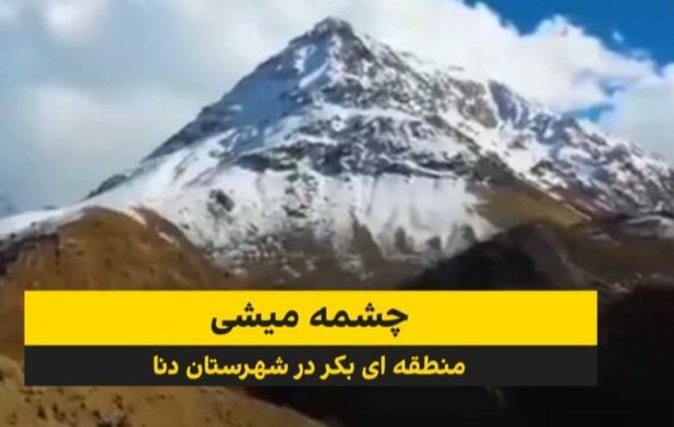 «چشمه میشی» دنا روایتگر جوشش آب در همجواری برف و آفتاب