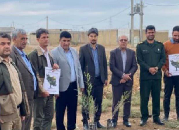 ۳ هزار اصله نهال به یاد شهدا در شهرستان دهلران کاشت می شود