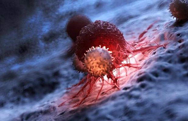 انقلاب در درمان سرطان؛ نابودی تومورها بدون آسیب به سلول‌های سالم با نانوذرات کروی دی‌اِن‌اِی