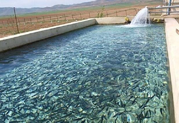 توسعه فعالیت‌های شیلاتی با هدف رشد اقتصادی و ایجاد اشتغال در سیستان و بلوچستان