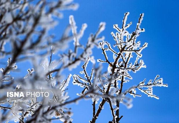 پیش‌بینی یخبندان فراگیر در البرز/دما به منفی ۱۳ درجه رسید
