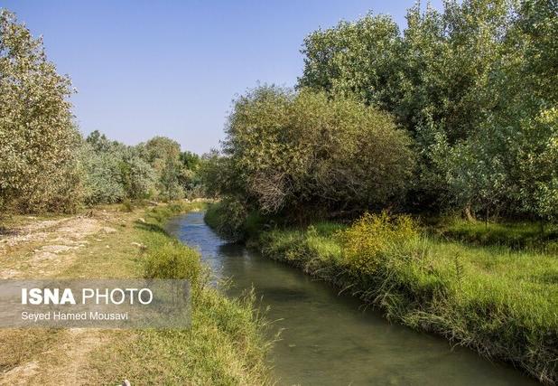 بررسی ۷۰ پرونده تصرف غیرقانونی در محدوده پارک ملی دز