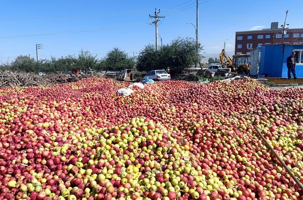 برخورد با متخلفان انباشت سیب در محورهای آذربایجان‌ غربی