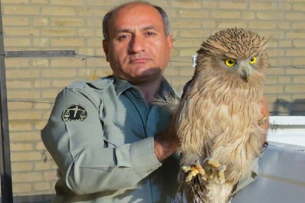 تشییع محیط‌بان شهید در بهبهان با حضور معاون رئیس‌جمهور