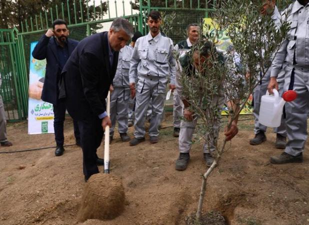 برگزاری روز درختکاری در سازمان انرژی اتمی ایران