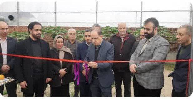 افتتاح همزمان از سه طرح کلان کشاورزی در محمودآباد