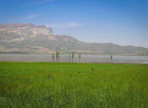 فناوری نوین، سپر حفاظتی تالاب های فارس شد