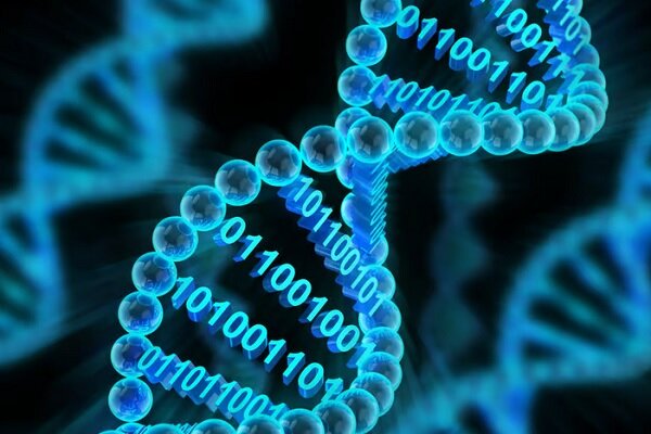 ابداع دوربین زیستی برای ذخیره اطلاعات در DNA