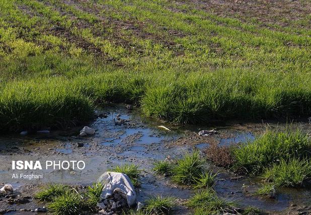 وضعیت نگران‌کننده آلودگی آب و خاک خوزستان/ لزوم نظارت بر فروشگاه‌های سم و کود