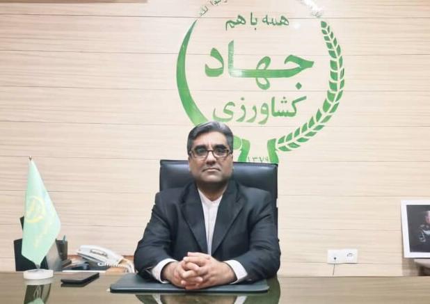 رشد ۲۱ درصدی صادرات محصولات کشاورزی از قرنطینه نباتی شهرستان بندرلنگه