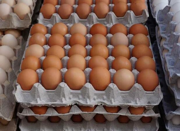 قیمت انواع تخم مرغ پوست قهوه‌ای در تهران اعلام شد