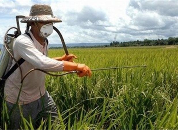 آغاز ثبت سفارش سموم آفات نباتی برای سال زراعی جدید از روزهای آینده