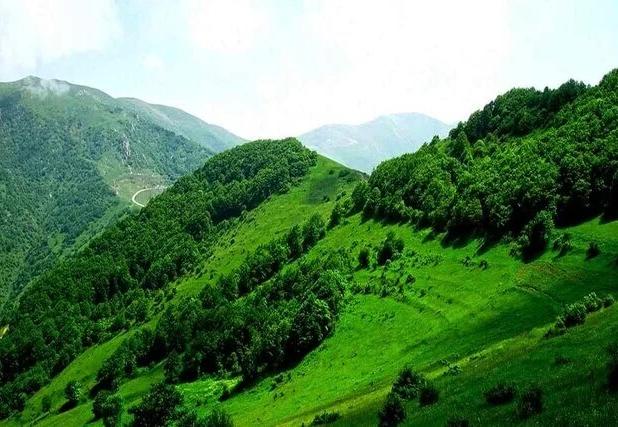 برنامه‌های آموزشی و ترویجی منابع طبیعی گلستان برای سال ۱۴۰۴ تشریح شد