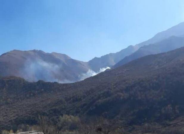 آتش‌سوزی در جنگل‌های دراکینگ چالوس