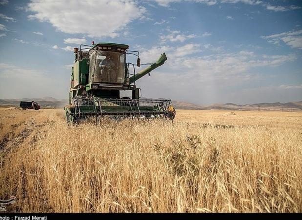 توزیع ۴.۵ میلیون تن کالای اساسی و غلات طی ۲ ماه/قرارداد تامین ۱۳.۵ میلیون تن نهاده دام و غلات امضا شد