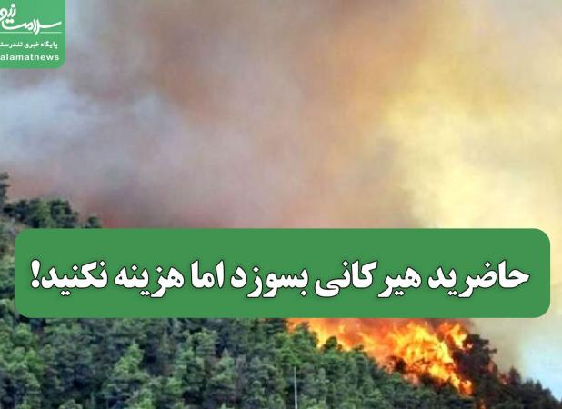 حاضرید هیرکانی بسوزد اما هزینه نکنید!