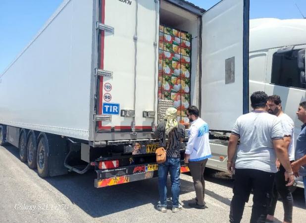 نظارت بهداشتی-قرنطینه‌ای بر صادرات ۲۱ هزار تن آبزیان از استان بوشهر