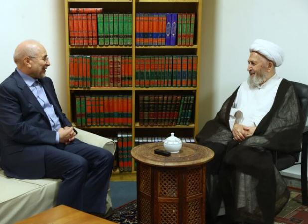 رئیس مجلس شورای اسلامی با آیت‌الله سبحانی دیدار کرد