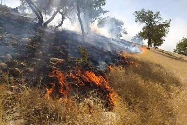 آتش‌سوزی ارتفاعات صدرا مهار شد